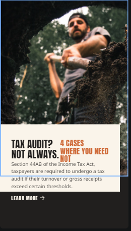 tax audit